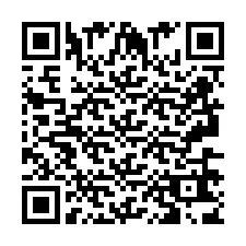 QR Code pour le numéro de téléphone +2693663840