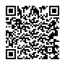 Codice QR per il numero di telefono +2693665013