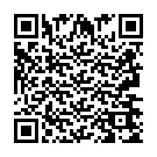 QR-Code für Telefonnummer +2693665038