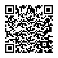 QR-Code für Telefonnummer +2693665131