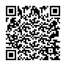 QR-код для номера телефона +2693665168