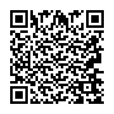 QR-koodi puhelinnumerolle +2693665173