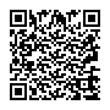 QR-Code für Telefonnummer +2693665380