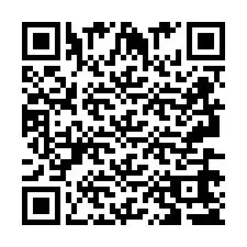 QR-koodi puhelinnumerolle +2693665384