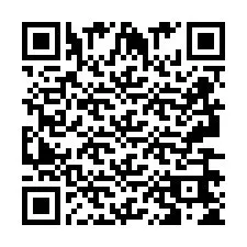 QR Code pour le numéro de téléphone +2693665408