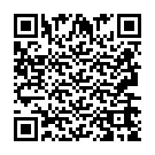 QR код за телефонен номер +2693665989