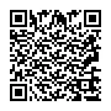 QR Code pour le numéro de téléphone +2693667301