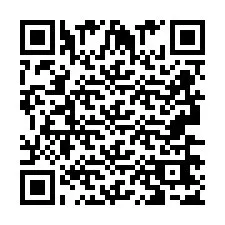 QR-код для номера телефона +2693667517