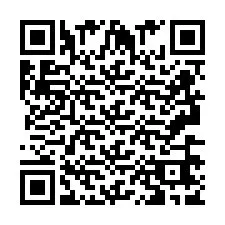 QR-Code für Telefonnummer +2693667901