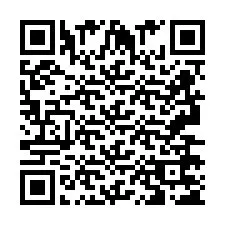 QR Code pour le numéro de téléphone +2693675299