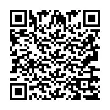 Codice QR per il numero di telefono +2693675309