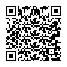 QR Code สำหรับหมายเลขโทรศัพท์ +2693675313