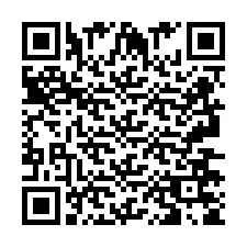 QR Code pour le numéro de téléphone +2693675878