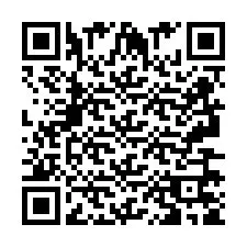 QR Code pour le numéro de téléphone +2693675908