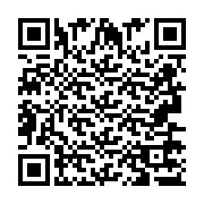 QR Code pour le numéro de téléphone +2693677387