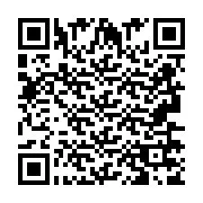 QR Code pour le numéro de téléphone +2693677847