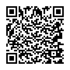 QR Code pour le numéro de téléphone +2693681113