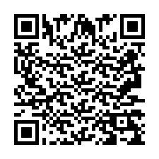 QR Code pour le numéro de téléphone +2693729549