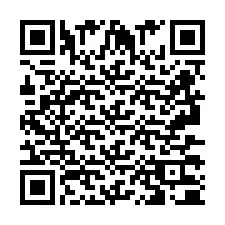 QR Code pour le numéro de téléphone +2693730024