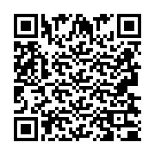 QR Code for Phone number +2693830017