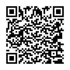 Codice QR per il numero di telefono +2693830317