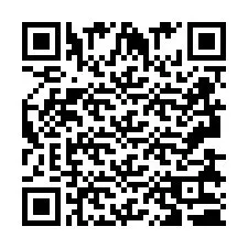 QR kód a telefonszámhoz +2693830381