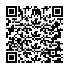 Codice QR per il numero di telefono +2693830388