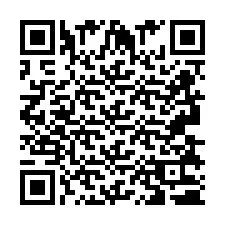 QR kód a telefonszámhoz +2693830393