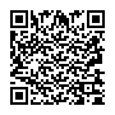 QR-code voor telefoonnummer +2693830400