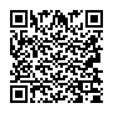 QR kód a telefonszámhoz +2693830413