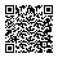 QR Code pour le numéro de téléphone +2693830636