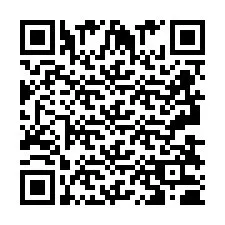 QR-код для номера телефона +2693830660