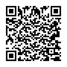 QR-код для номера телефона +2693830713