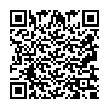 Codice QR per il numero di telefono +2693830805