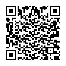 QR-koodi puhelinnumerolle +2693830824