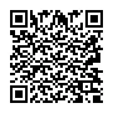 QR код за телефонен номер +2693830838