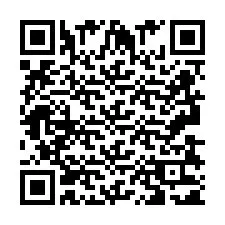 QR Code pour le numéro de téléphone +2693831111