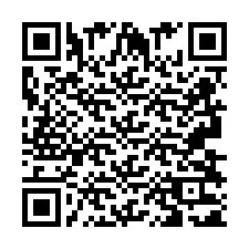 QR-code voor telefoonnummer +2693831133