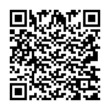 QR-код для номера телефона +2693831134