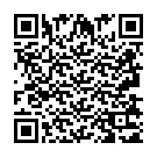 QR-код для номера телефона +2693831194