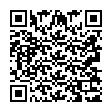 Kod QR dla numeru telefonu +2693831199