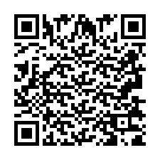 QR код за телефонен номер +2693831895