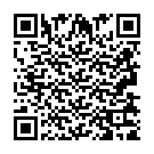 QR Code pour le numéro de téléphone +2693831985