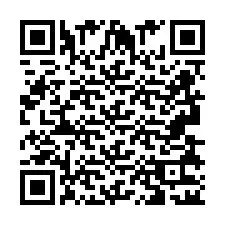 QR Code pour le numéro de téléphone +2693832187