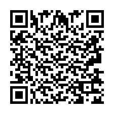 QR Code pour le numéro de téléphone +2693832490