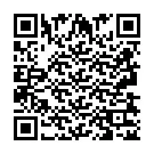 QR Code pour le numéro de téléphone +2693832504