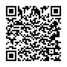 Kod QR dla numeru telefonu +2693832513