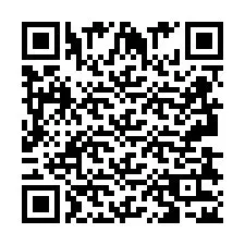 QR Code pour le numéro de téléphone +2693832544