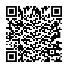 QR-Code für Telefonnummer +2693832571