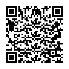 QR Code pour le numéro de téléphone +2693832594